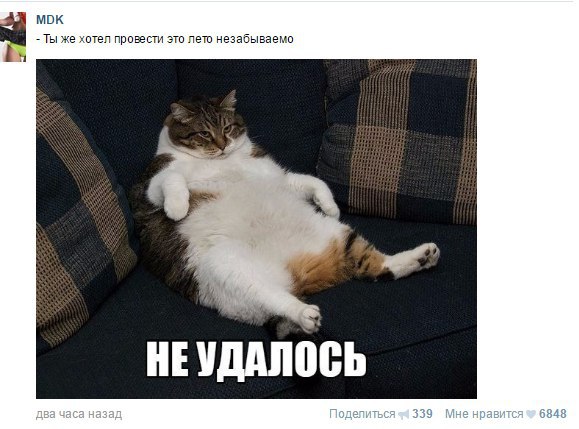      .(       Vkontakte: ...