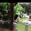 ���� ����, ����-����, 37 ��� - ��������� 23 ����� 2016 � ������ ���� ����������
