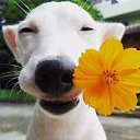 ���� �������, ������, 46 ��� - ��������� 17 ���� 2016 � ������ ������ ��������