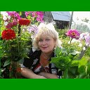 ���� �������, ������, 71 ��� - ��������� 5 ������ 2016 � ������ ���� ����������