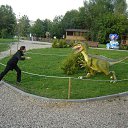 ���� �����, �����, 38 ��� - ��������� 23 ������� 2016 � ������ ���� ����������