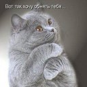 ���� ���, ���������� �����, 45 ��� - ��������� 3 �������� 2016 � ������ ���� ����������