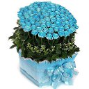 ���� Aram, ������, 49 ��� - ��������� 15 ��� 2016