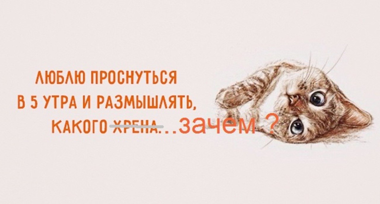   - 11  2016  09:36