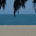 ���� �����, ������, 81 ��� - ��������� 2 ���� 2016 � ������ ���� ����������