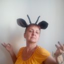  ,  -  6  2016     ...