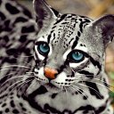 ���� �������, �����, 58 ��� - ��������� 22 ������� 2016 � ������ ������ ��������