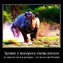 ���� �����, ������, 57 ��� - ��������� 7 ������ 2016 � ������ ������ ��������