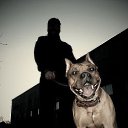 ���� �����, �����������, 44 ���� - ��������� 27 ��� 2016 � ������ ���� ����������