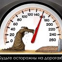 ���� Dalik, ������, 36 ��� - ��������� 25 ���� 2016 � ������ ���� ����������