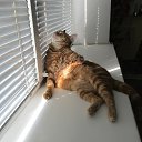 ���� ������, �����, 38 ��� - ��������� 18 ������ 2016 � ������ ���� ����������