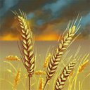 ���� ���������, ������, 45 ��� - ��������� 26 ���� 2016 � ������ ������ ��������