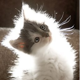 ���� ������, ������, 42 ���� - ��������� 3 ���� 2016