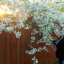  ,  -  21  2016       ,      ....