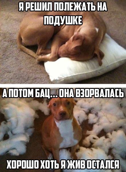 ☆   ☆ - 12  2016  00:48