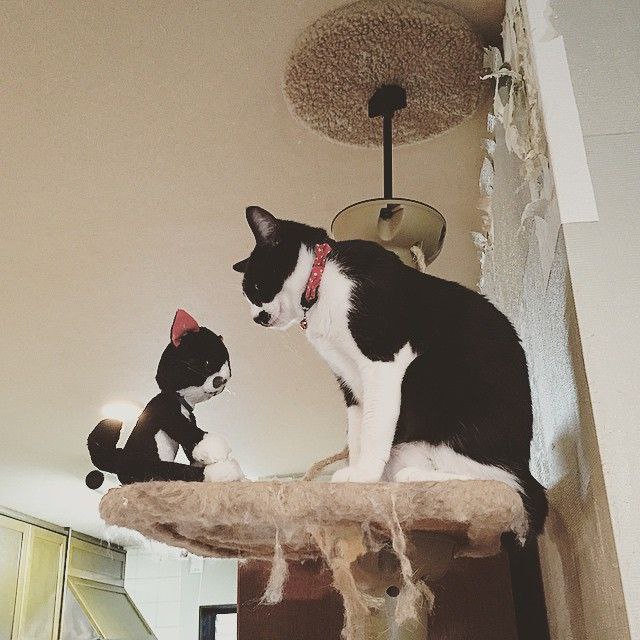  -  - 11  2016  12:27 - 6