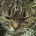 ���� �����, ������, 53 ���� - ��������� 3 ��� 2016