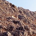 ���� �����, ������ ��������, 61 ��� - ��������� 5 �������� 2016 � ������ ������� . � . ���� .�