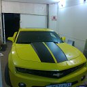 ���� ���� ����, ������, 55 ��� - ��������� 16 ������ 2016 � ������ ���� �������