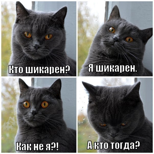 �������� ���� - 11 ����� 2016 � 23:30
