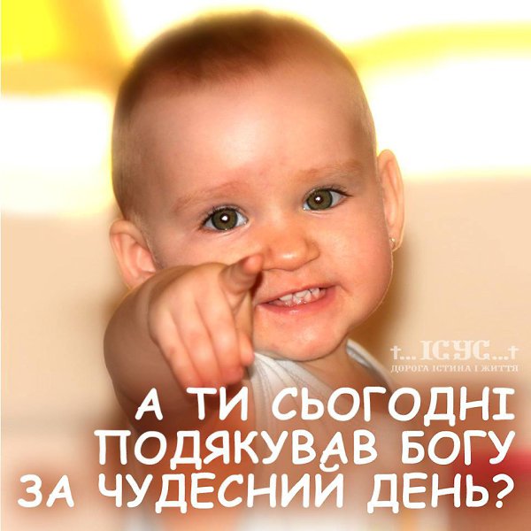  - 6  2016  02:41