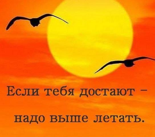   - 22  2016  09:04