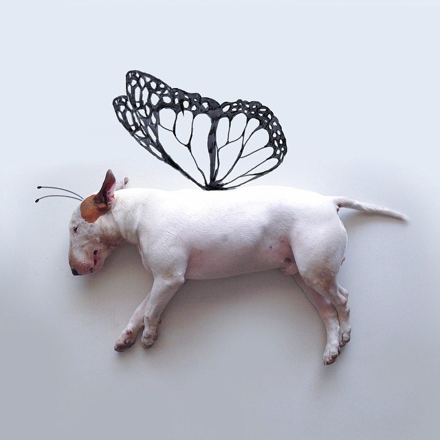 Когда вдохновение приходит в момент наибольшего отчаяния. На 30-й день рождения жена Рафаэля ... - 3