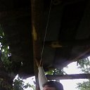 ���� Oleg, ������ - ��������� 2 ��� 2016 � ������ ���� ����������