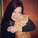 ���� �������, ���������, 53 ���� - ��������� 10 ����� 2016 � ������ ���� ����������