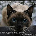 ���� Alekcandr, ������ - ��������� 20 ��� 2016 � ������ ���� ����������