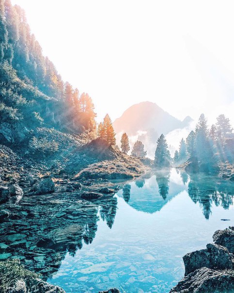 Вместо тысячи клубов