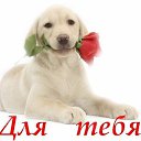 ���� ������, ��� - ��������� 2 ������ 2016 � ������ ���� ����������