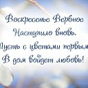 ���� �����-������, ����, 43 ���� - ��������� 24 ������ 2016 � ������ �������� ��������