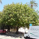 ���� ��������, �������, 60 ��� - ��������� 9 ���� 2016 � ������ ���� ����������