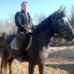 �������, ������, 46 ���