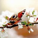 ���� ������., �������� - ��������� 23 ������ 2016 � ������ �����������.....!�