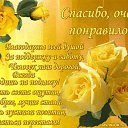 ���� ��������, ������ - ��������� 11 ��� 2016 � ������ ���� ����������