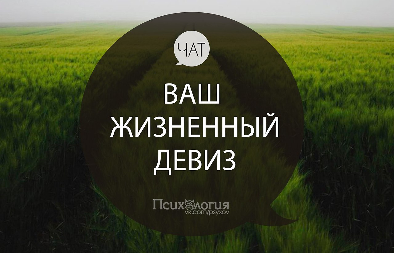 Комментарий 2020. Психология девиз. Лозунг психов. Девиз по жизни для успешного человека христианина. Девизы для Инстаграм.