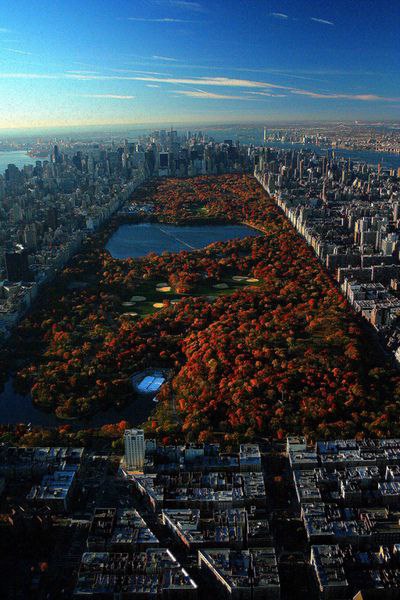 Осень в Нью-Йорке.#интересные_места@interestplanet_ru - 6