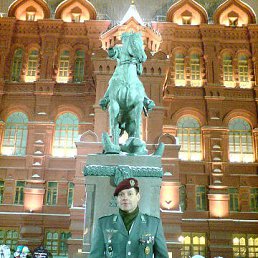 Falke, ������, 65 ���