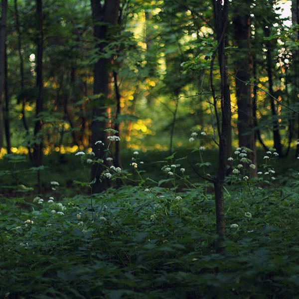  ! - 17  2016  13:58 - 5