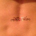  ,  , 49  -  15  2016    