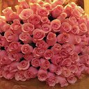 ���� ��������, ��������, 53 ���� - ��������� 20 ��� 2016 � ������ ���� ����������