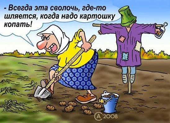 ОБО ВСЕМ - 25 июня 2016 в 11:13