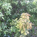  , -, 69  -  19  2016    