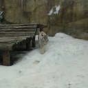 ���� ����, ������������, 35 ��� - ��������� 12 ���� 2016 � ������ �Moscow 2016 January�