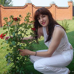 Ирина, 34 года, Мурманск - фото 1