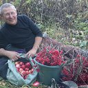 ���� ��������, �����������, 64 ���� - ��������� 1 ������ 2016