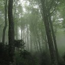 ���� ��������, ������, 64 ���� - ��������� 18 ������� 2016