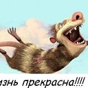 ���� �����, ����-���������, 44 ���� - ��������� 23 ������ 2016 � ������ ���� ����������